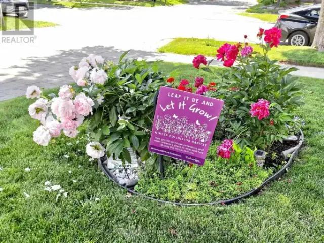 House for rent in Richmond Hill, Golden Horseshoe