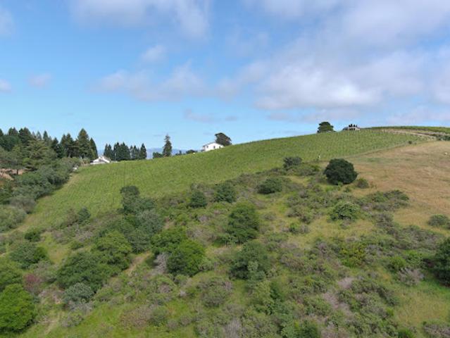 House for sale in Sebastopol, California