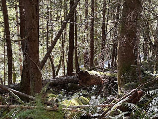 House for sale in Madeira Park, British Columbia