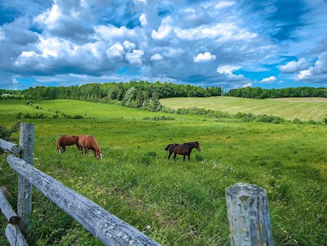House for sale in Saint-benoît-labre, Quebec