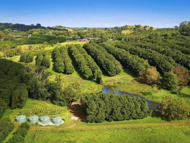 House for sale in Pearces Creek, New South Wales