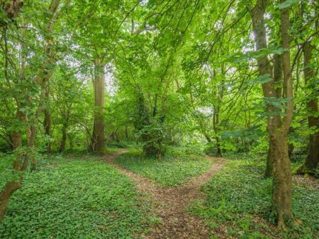 House for sale in Yetminster, East Dorset