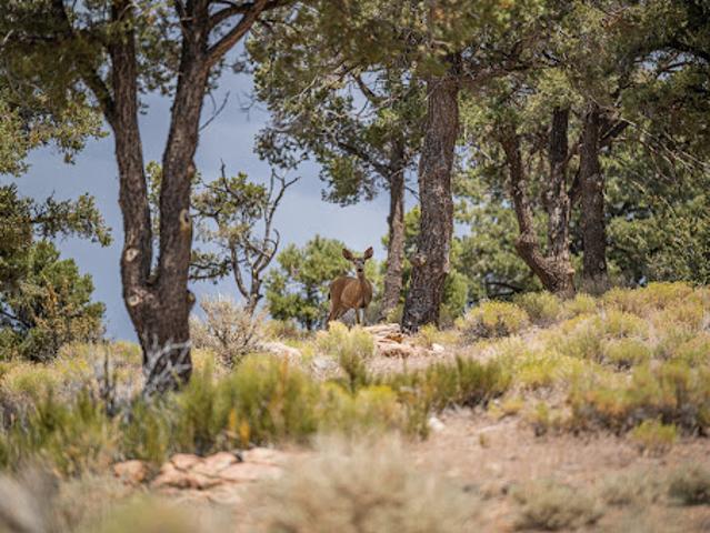 House for sale in Big Bear Lake, San Bernardino County