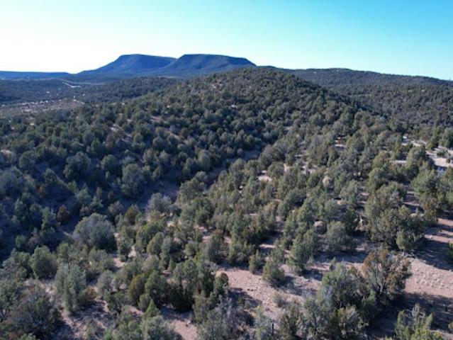 House for sale in Seligman, Arizona