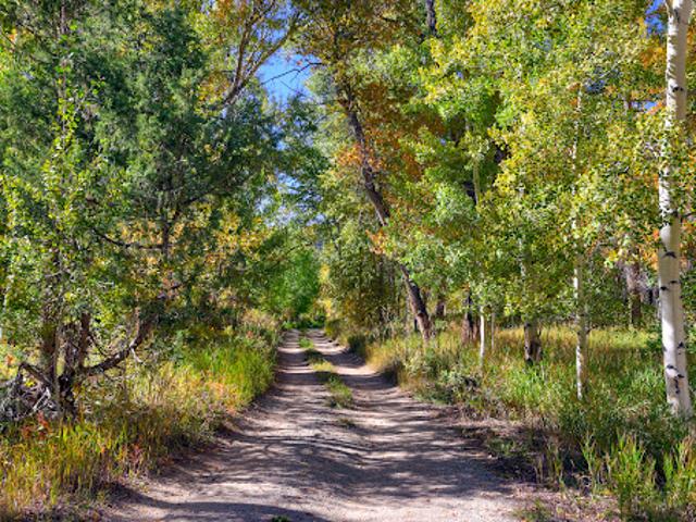 House for sale in Chaffee, Colorado