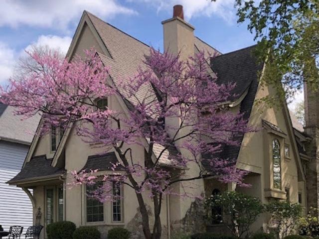 House for sale in Naperville, Illinois