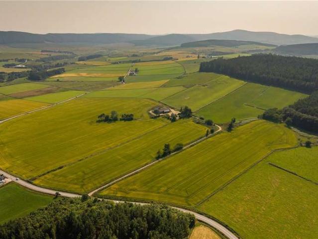 House for sale in Scotland