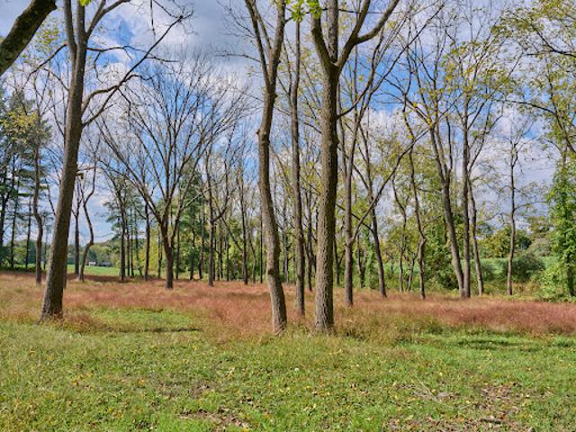 House for sale in New Hope, Bucks County