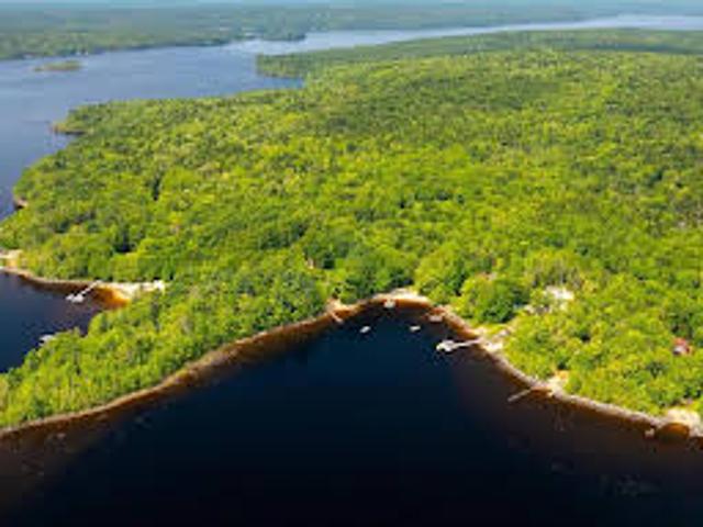 House for sale in Forties House for sale in Forties