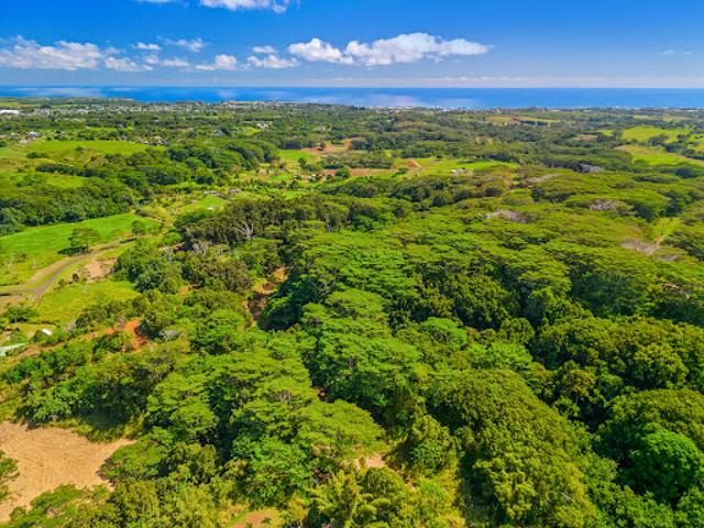 House for sale in Kapaa, Hawaii