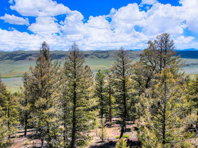 House for sale in Fairplay, Colorado