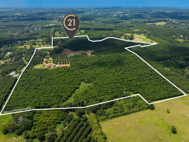House for sale in Lindendale, New South Wales
