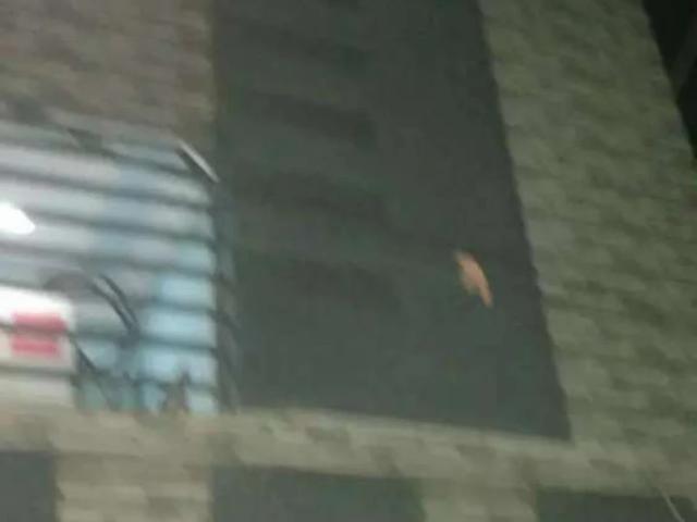 House for sale in North Waziristan, Federally Administered Tribal Areas fata