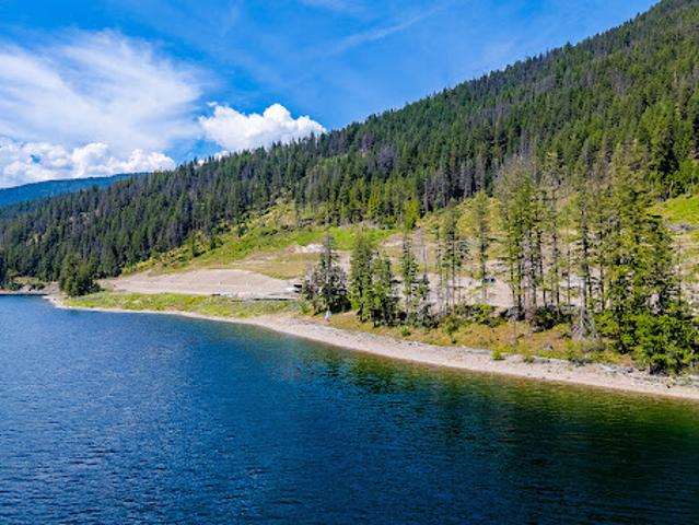House for sale in Tappen, British Columbia