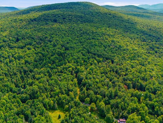 House for sale in Essex, New York