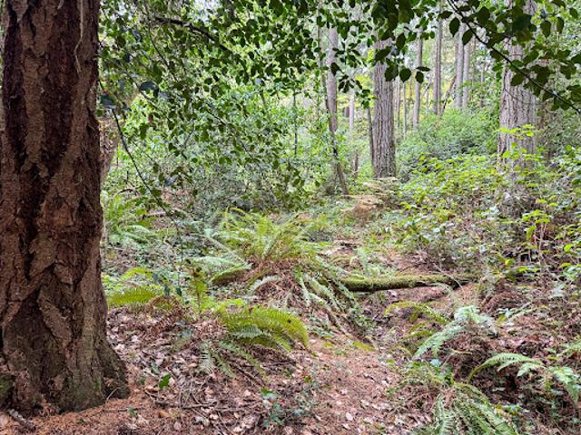 House for sale in Bainbridge Island, Washington