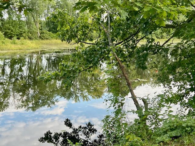 House for sale in Saratoga, New York