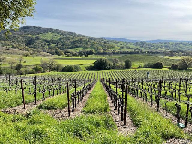 House for sale in Napa, California
