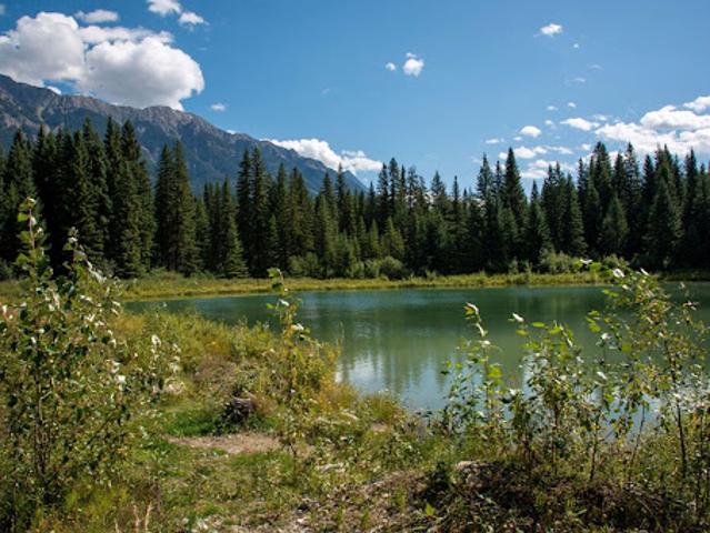 House for sale in Golden, British Columbia