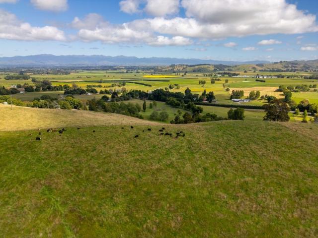Land for sale in Opaki, Wellington