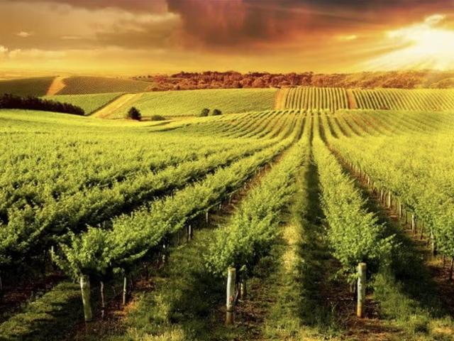Cottage for sale in Margaret River, Western Australia