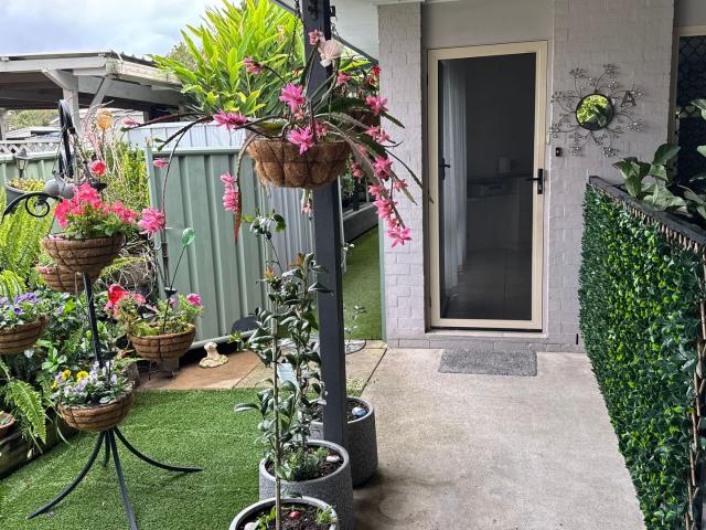 House for rent in Cooroy