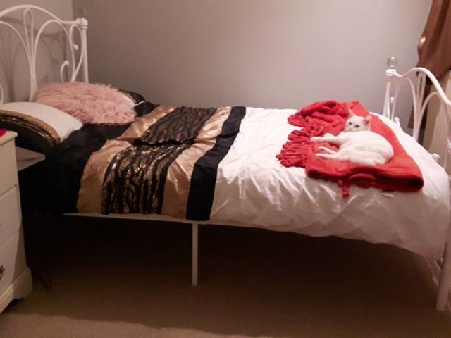 House for rent in New Malden, Greater London