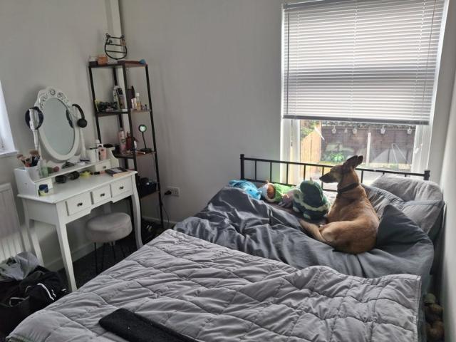 Room for rent in Westhoughton, Lee Bank