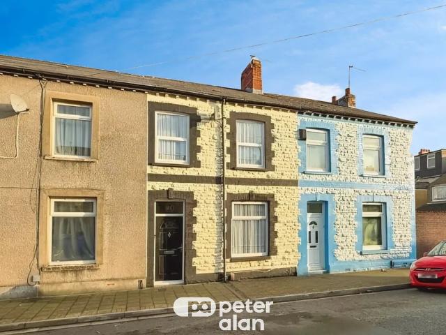 House for rent in Plasnewydd, Falcon Lodge
