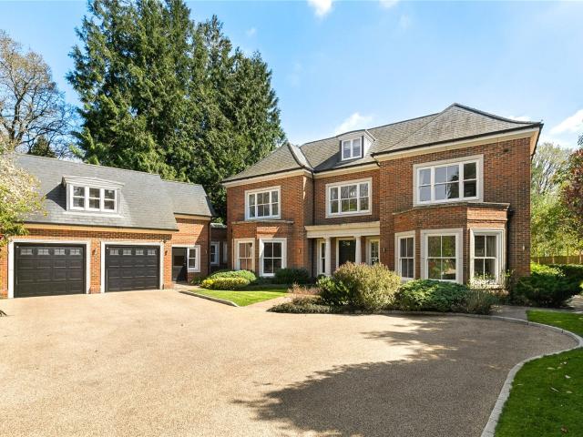 House for rent in Sunninghill and Ascot, South Ascot