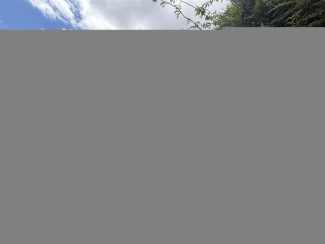 House for rent in East Clevedon, Clevedon