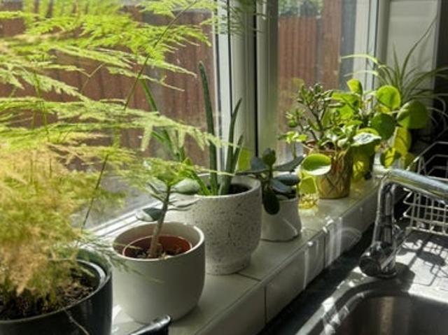 House for rent in Harringay, Greater London