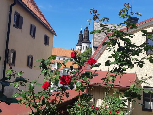 Lägenhet hyra i Visby, Gotland