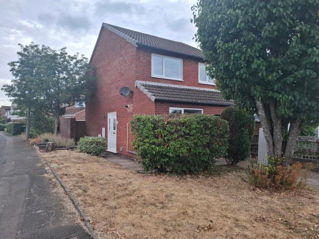 House for rent in St. Peter the Great County, St Peters