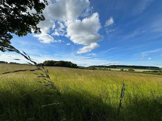 House for rent in Little Marlow, Buckinghamshire