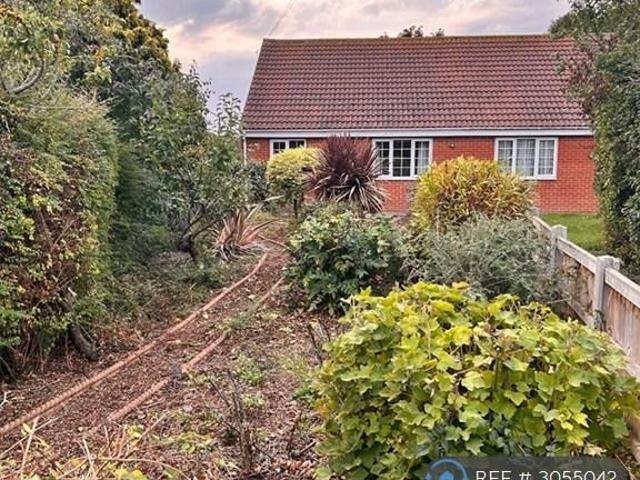 House for rent in California, Great Yarmouth