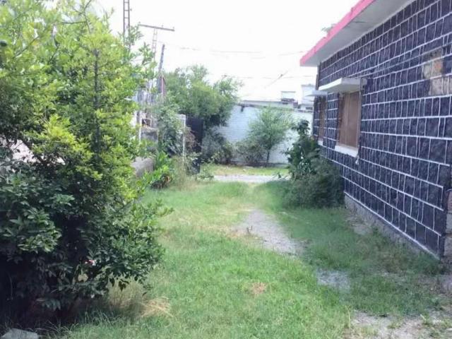 House for rent in ایبٹ آباد, ہزارہ ڈویژن