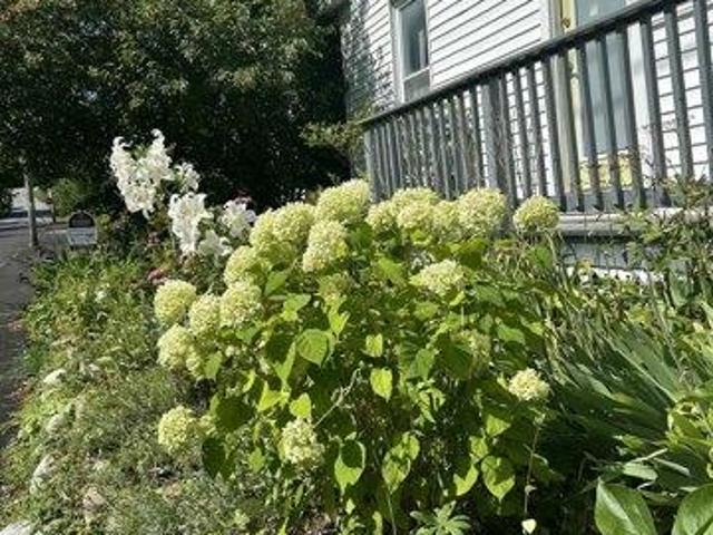 House for sale in Waldo, Maine