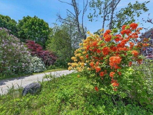 House for sale in Blue Hill, Maine