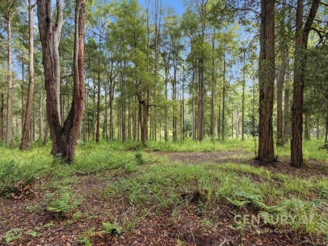 House for sale in Bucca, New South Wales