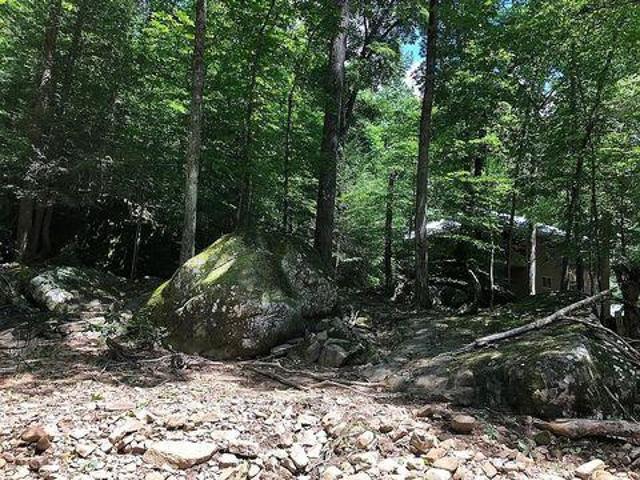 House for sale in Tennessee