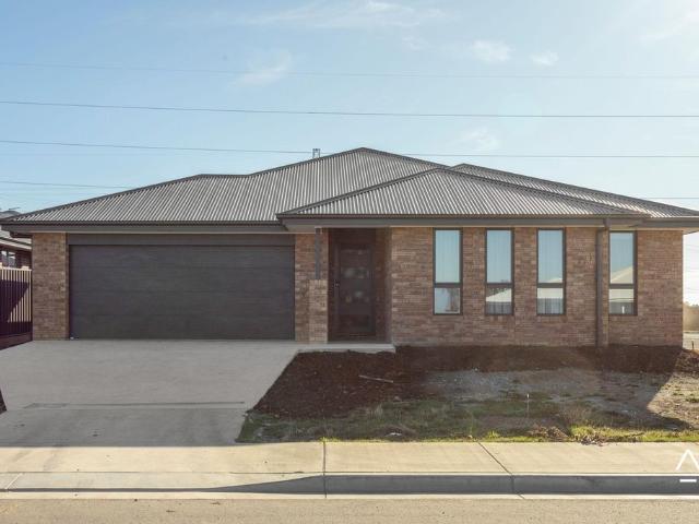 House for rent in Prospect Vale