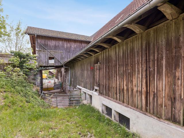 Haus kaufen in Berg (TG), Thurgau