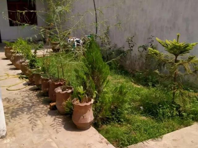 House for rent in Peshawar, North West Frontier Province