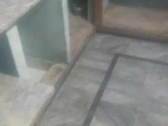 House for rent in محلہ سید نگری, تحصیل گوجرانوالہ شہر