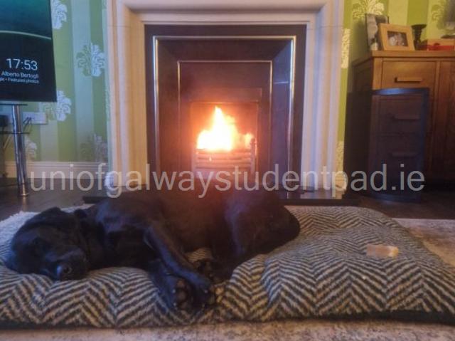 House to rent in Knockaderry, South Tipperary