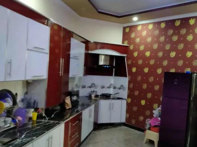 House for rent in Islamabad