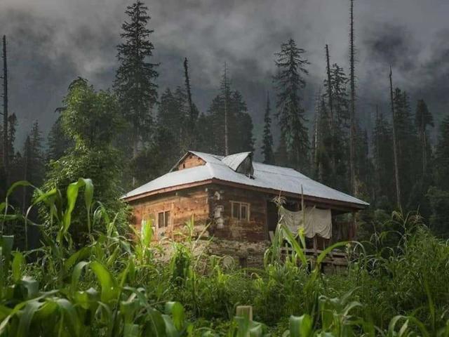 Property for rent in Federally Administered Tribal Areas fata
