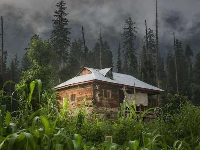 Property for rent in Federally Administered Tribal Areas fata