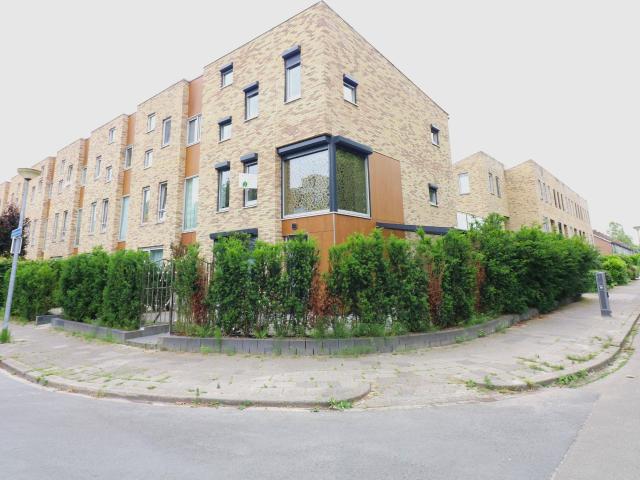 Woning te huur in Groningen, Paddepoel